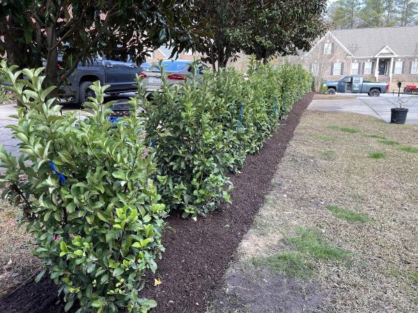 Southern Charm Landscape and Design LLC