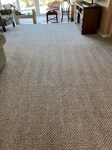 True Price Carpet Cleaning