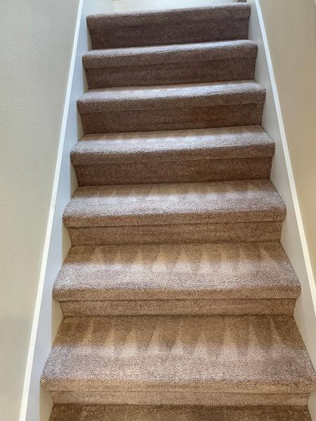 True Price Carpet Cleaning