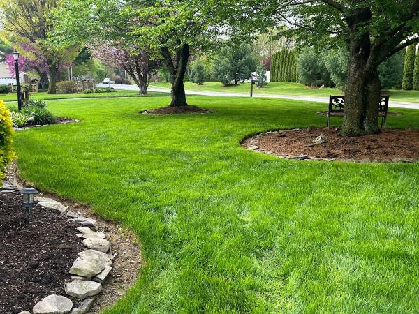 Go Green Customized Lawn Care