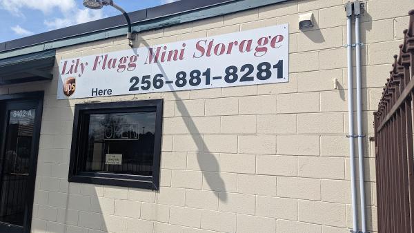 Lily Flagg Mini Storage