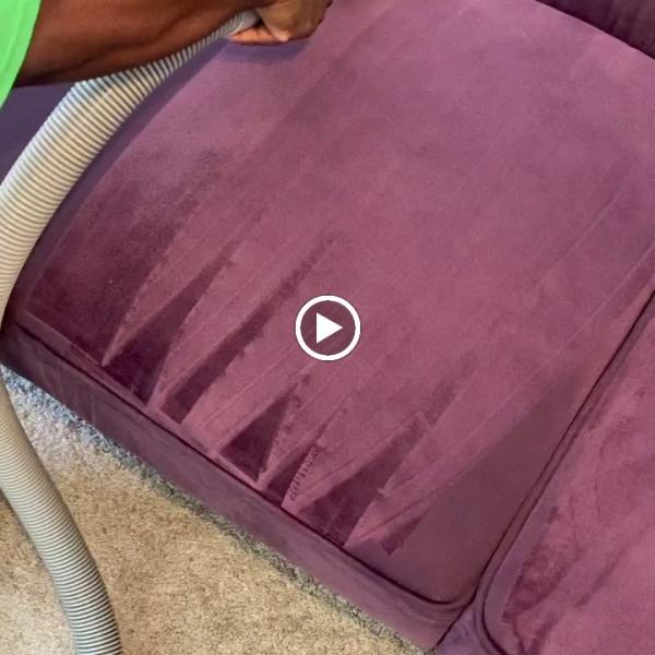 Thorough Carpet Cleaning LLC