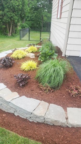 Creative Exteriors Landscp