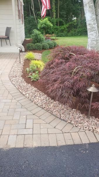 Creative Exteriors Landscp