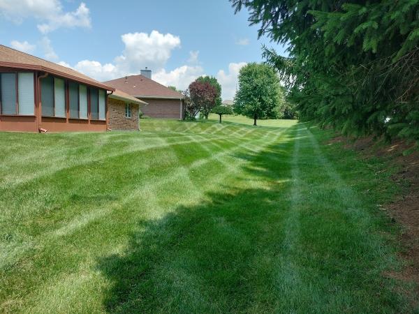 Wise Landscaping