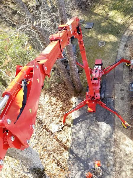 Notch Your Average Tree Service