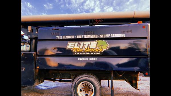 Elite Tree Service
