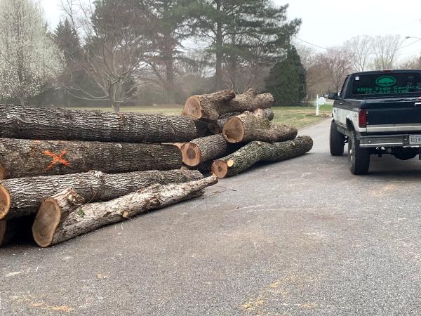 Elite Tree Service