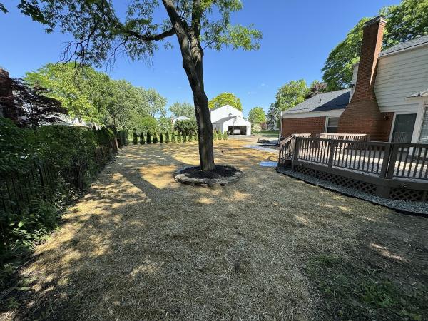 Detroit Landscaping Company