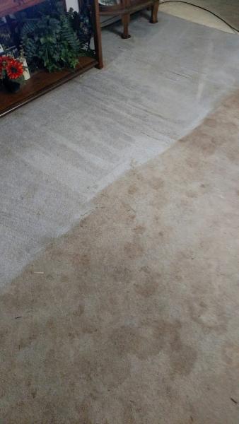 Mc Gill's Carpet Cleaning