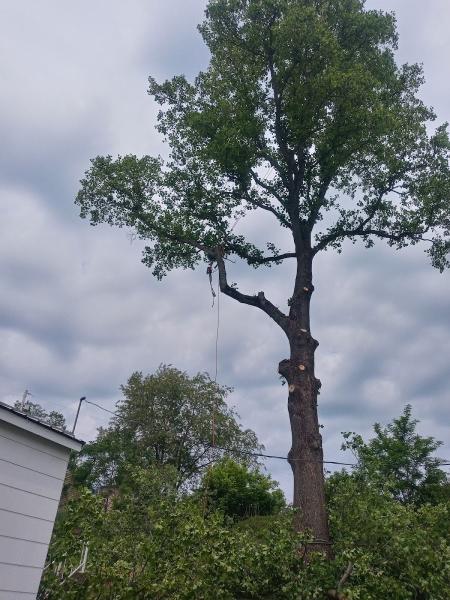 Liberty Landscaping