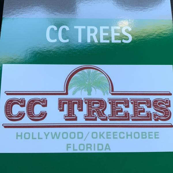 CC Trees