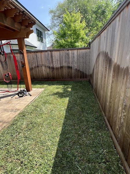 Mtex Lawn Care