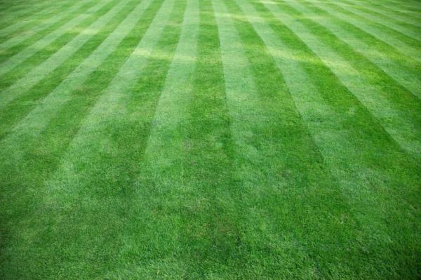 F.D. OFF Duty Lawn Services