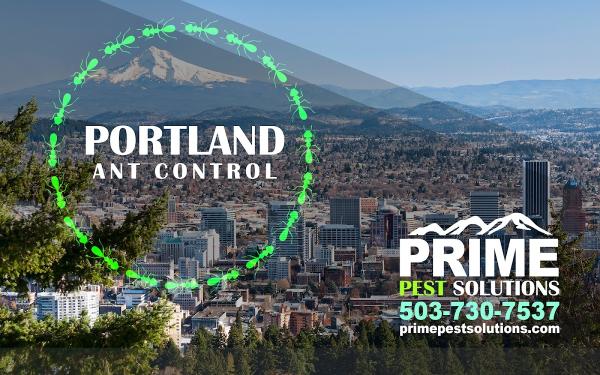 Prime Pest Solutions