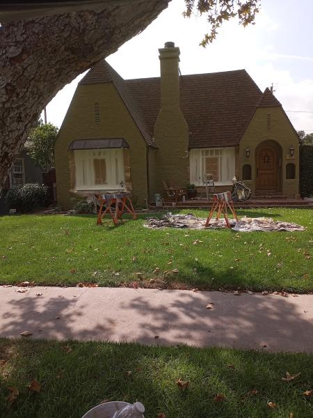Handyman Professional Painter