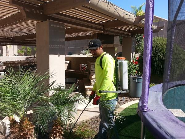 Silver Fern Landscaping
