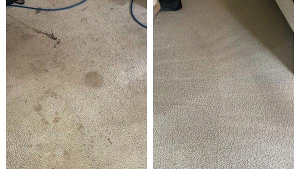 Mercy Carpet Cleaning & Restoration