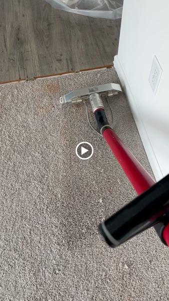 Mercy Carpet Cleaning & Restoration