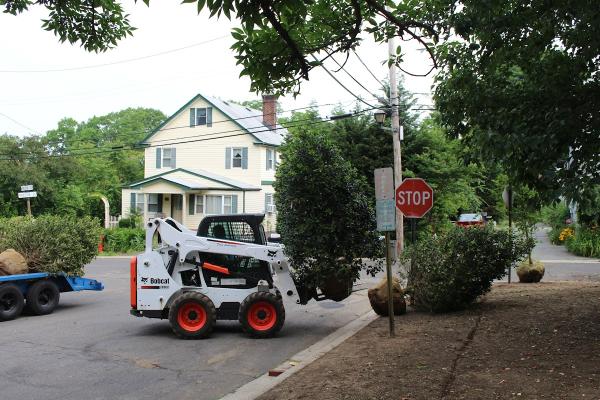 Dom's Landscaping