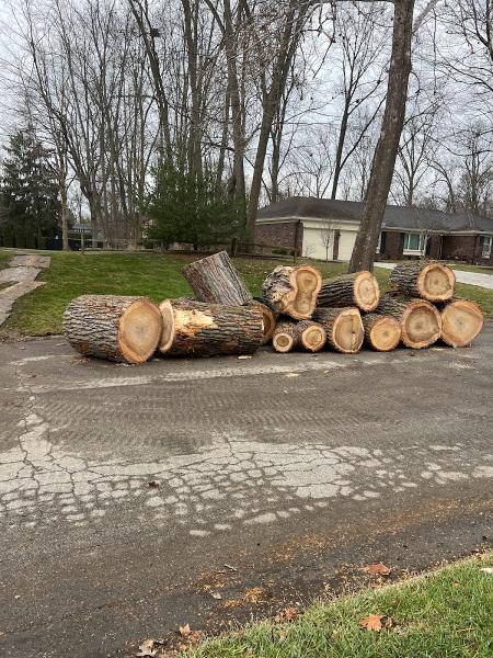 Anthony's Tree Service & Landscape