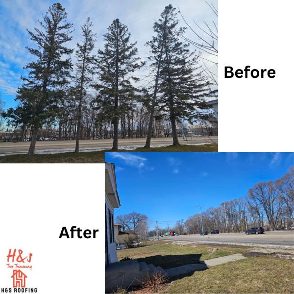 H & S Tree Service