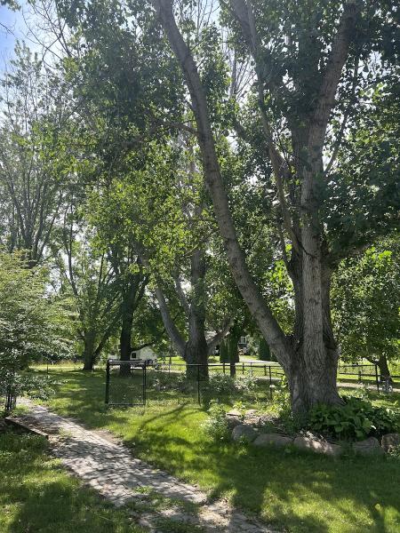 H & S Tree Service