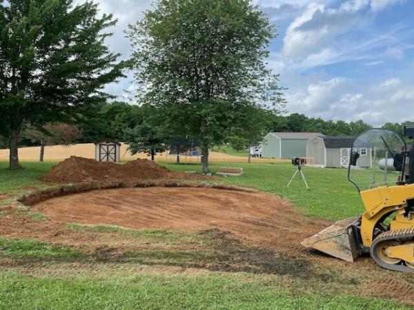 Sharper Image Tree & Landscape