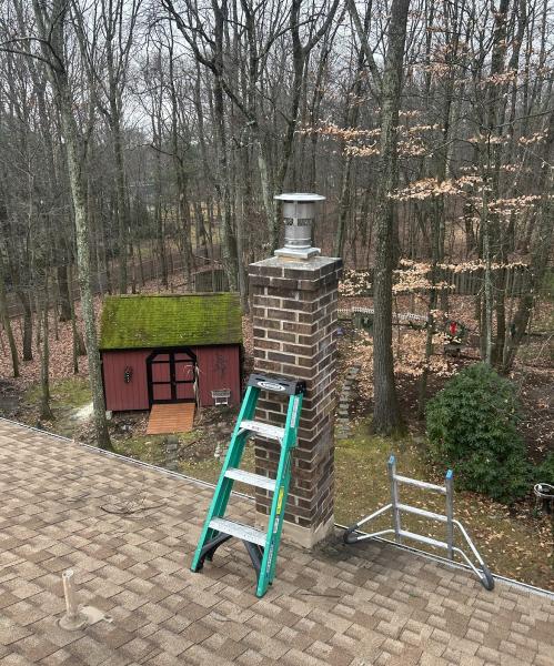 Black Dog Chimney Service