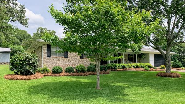 Lawns & Leaves