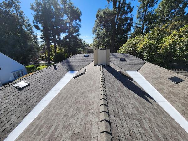 Lara's Roof