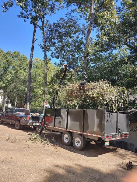 Woodys Stump Grinding and Services Llc