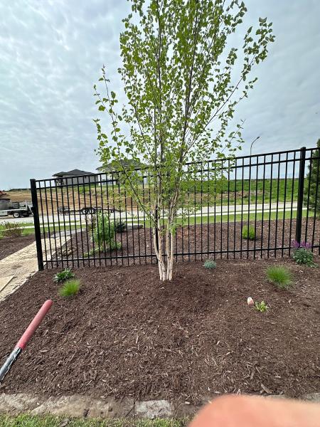 Indigenous Landscaping Inc
