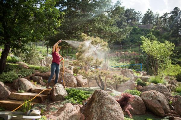 Edaphic Solutions