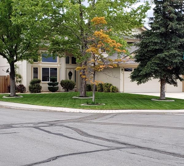 Tailored Lawn Care
