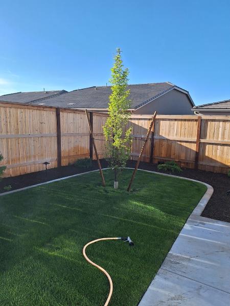 Tailored Lawn Care