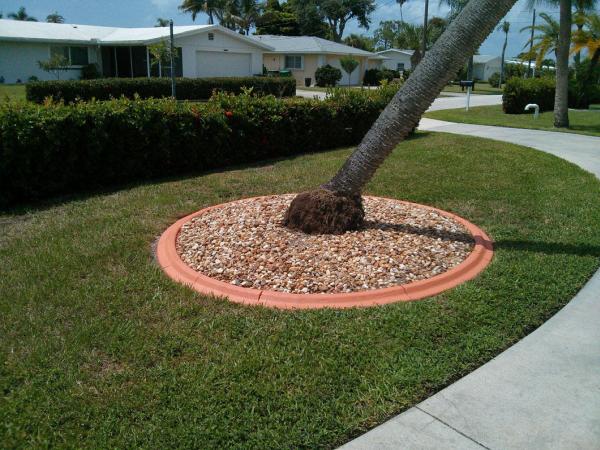 Martuscelli Masonry & Screening