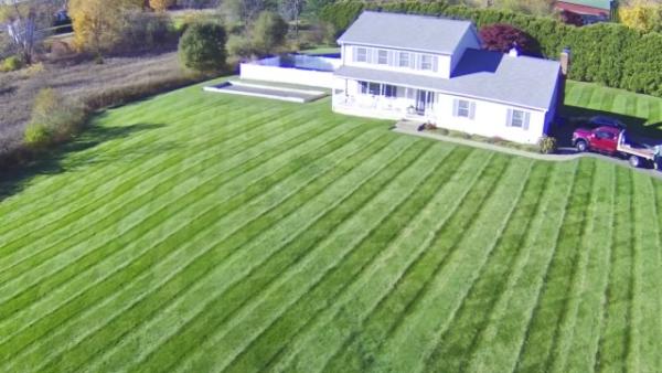 Elite Turf LLC