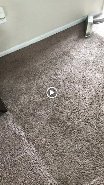 Main Cleaning Solutions