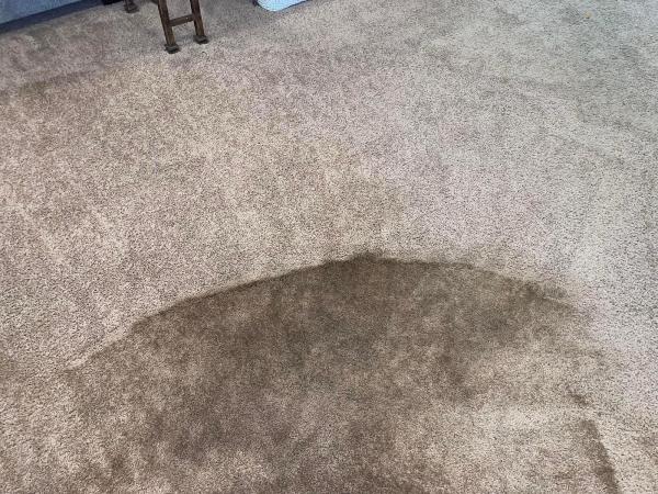 Main Cleaning Solutions