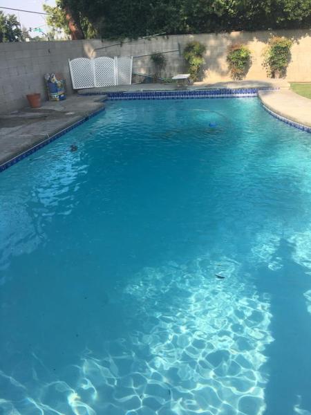 Skinny Dippers Pool Supply