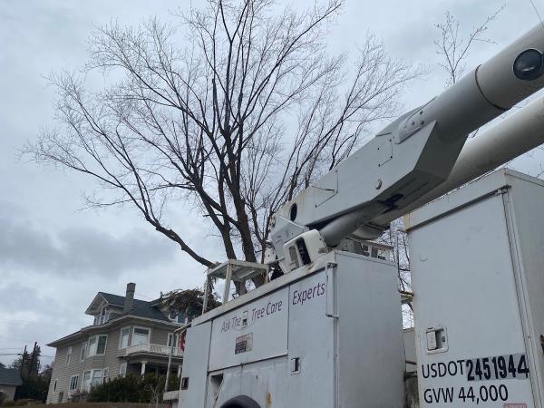 Heritage Tree Care LLC