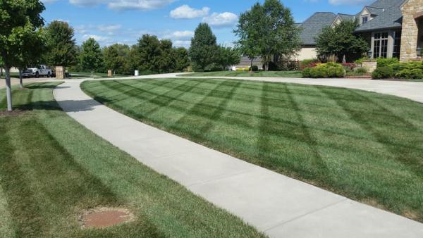Balanced Lawn Care