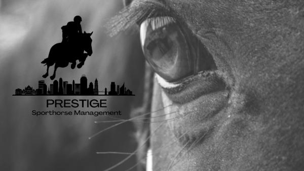 Prestige Sporthorse Management