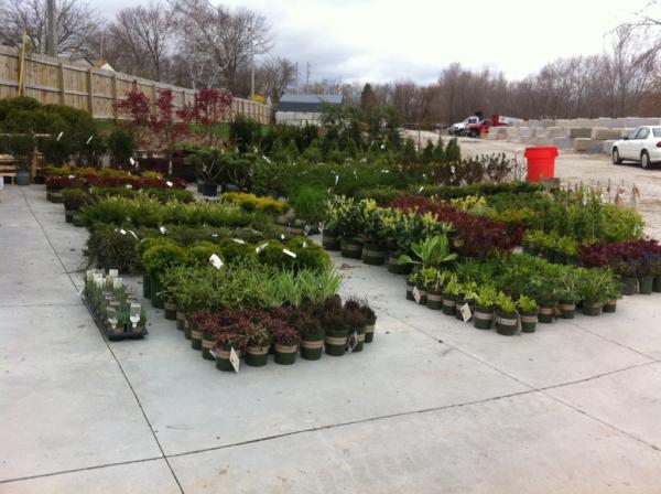 Choice Landscaping LLC
