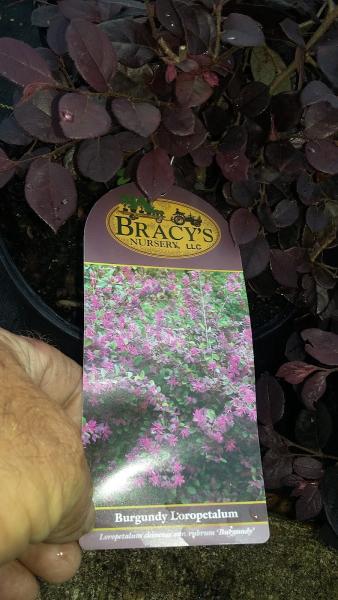 Agripro Lawn & Garden Center