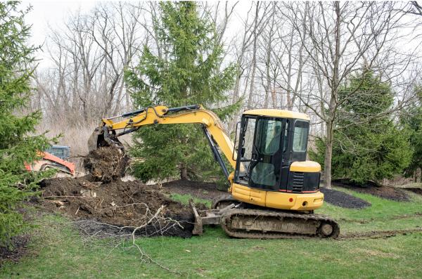 Hank's Tree Pros