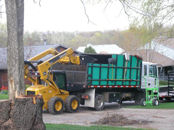 Nikolas Tree Service LLC
