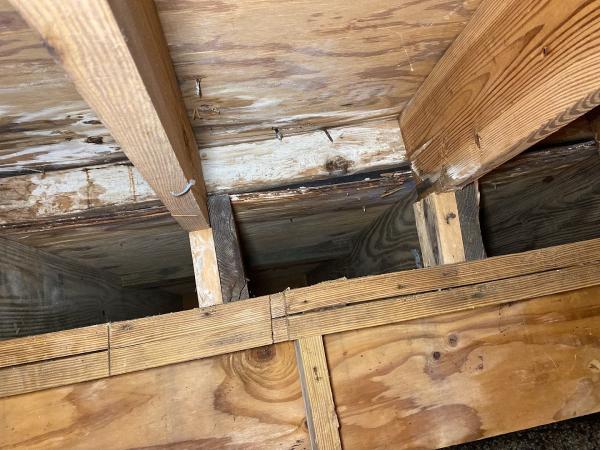 Melbourne Mold Inspection