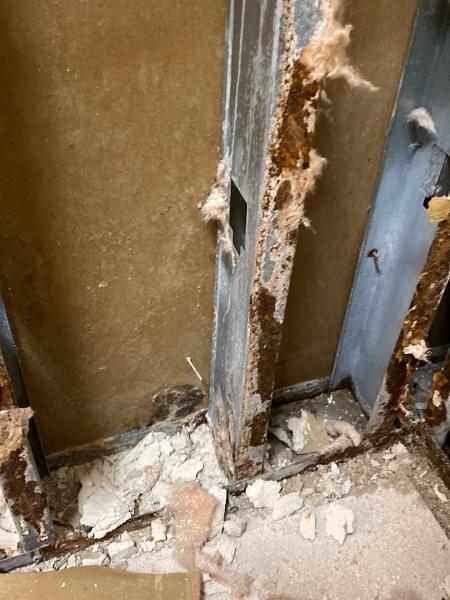 Melbourne Mold Inspection
